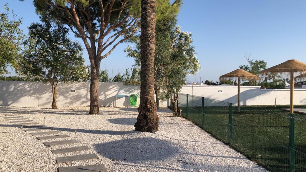 Villas Santa Ana Conil De La Frontera Exteriör bild
